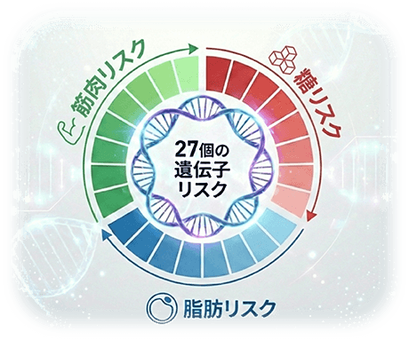 遺伝子ダイエットの図
